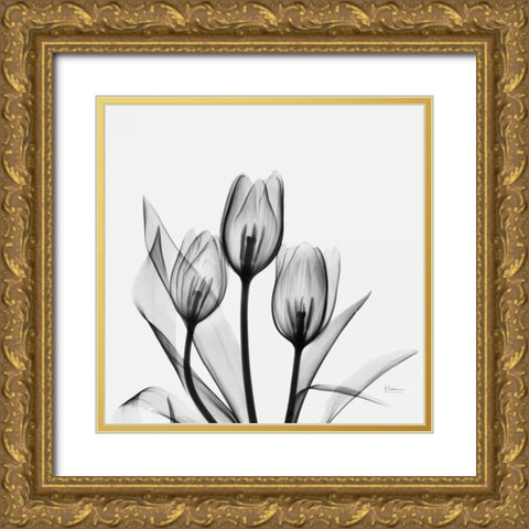 Tulips Gold Ornate Wood Framed Art Print with Double Matting by Koetsier, Albert