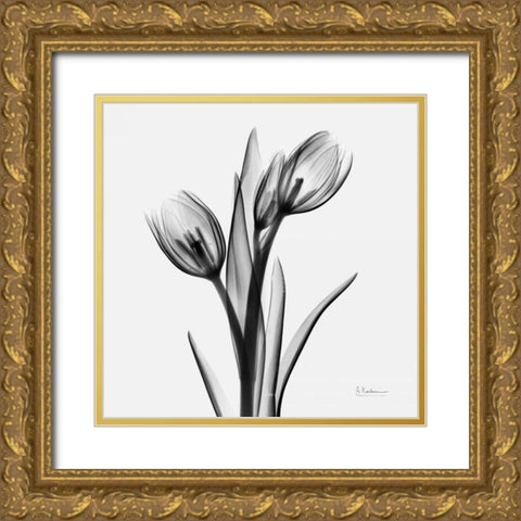 Tulips Gold Ornate Wood Framed Art Print with Double Matting by Koetsier, Albert