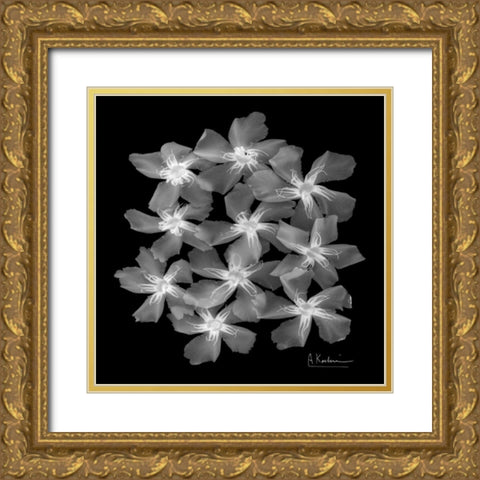 Oleander X-Ray Gold Ornate Wood Framed Art Print with Double Matting by Koetsier, Albert