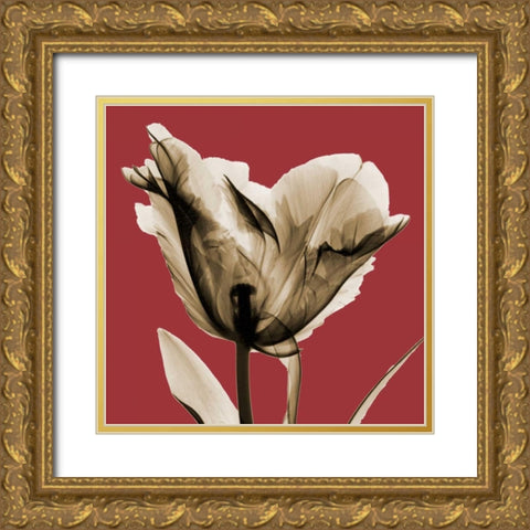 Red Luster Tulip Gold Ornate Wood Framed Art Print with Double Matting by Koetsier, Albert