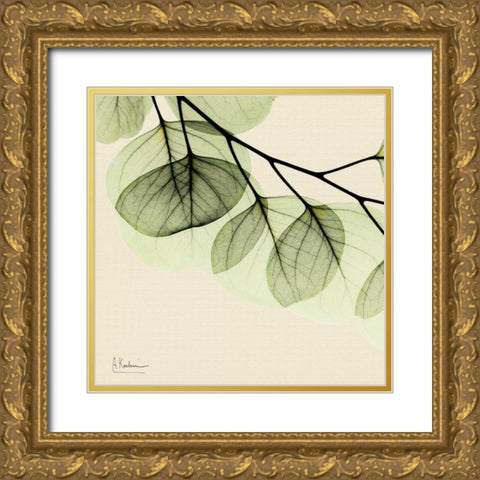 Mint Eucalyptus 3 Gold Ornate Wood Framed Art Print with Double Matting by Koetsier, Albert