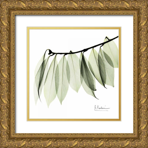 Camelia Leaf In White Gold Ornate Wood Framed Art Print with Double Matting by Koetsier, Albert