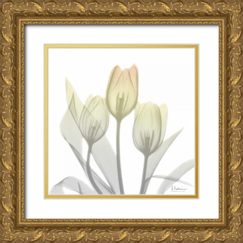 Sunday Morning Tulips Two Gold Ornate Wood Framed Art Print with Double Matting by Koetsier, Albert