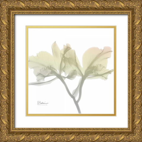 Sunday Morning Orchid Gold Ornate Wood Framed Art Print with Double Matting by Koetsier, Albert