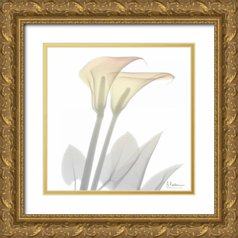 Sunday Morning Calla Lily Gold Ornate Wood Framed Art Print with Double Matting by Koetsier, Albert