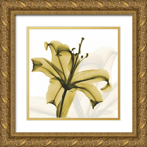 A Golden Lily Gold Ornate Wood Framed Art Print with Double Matting by Koetsier, Albert