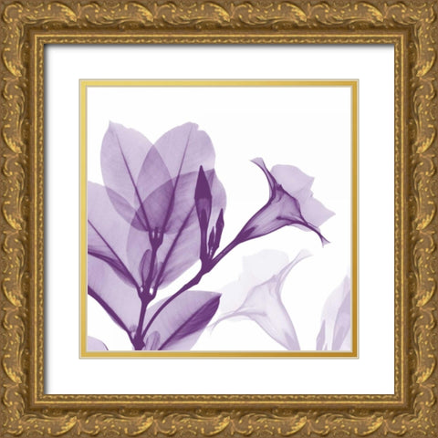 Lavender Mandelilla Gold Ornate Wood Framed Art Print with Double Matting by Koetsier, Albert