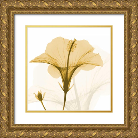 Orange Hibiscus Wave Gold Ornate Wood Framed Art Print with Double Matting by Koetsier, Albert