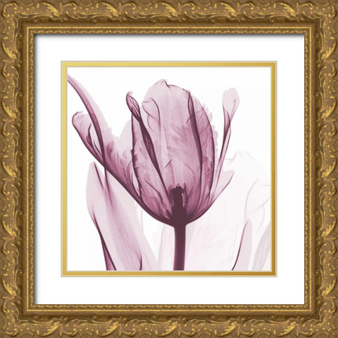 The Purple Tulip Gold Ornate Wood Framed Art Print with Double Matting by Koetsier, Albert