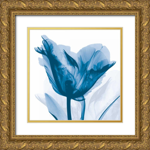 Lusty Blue Tulip Gold Ornate Wood Framed Art Print with Double Matting by Koetsier, Albert