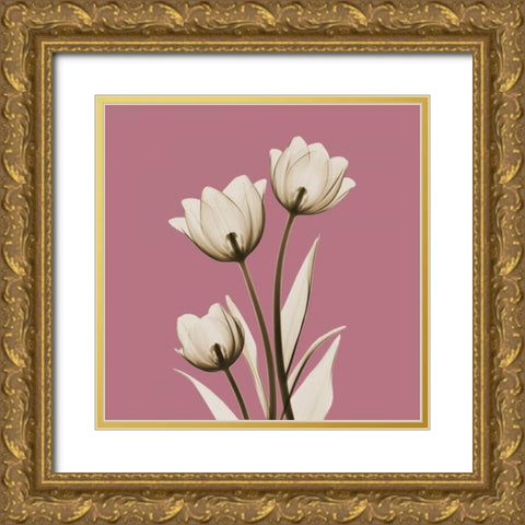 Pink Luster Tulips Gold Ornate Wood Framed Art Print with Double Matting by Koetsier, Albert