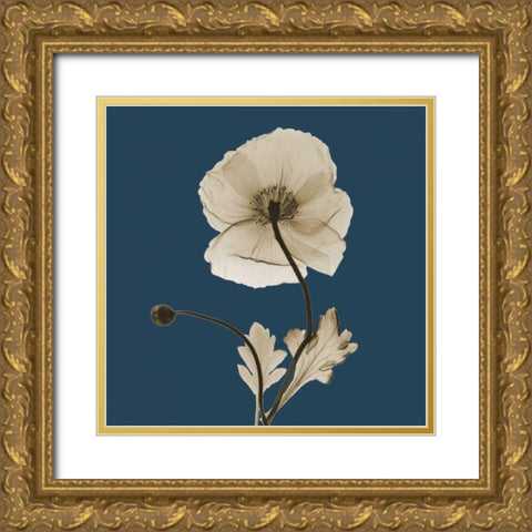 Luster Iceland Poppy Gold Ornate Wood Framed Art Print with Double Matting by Koetsier, Albert