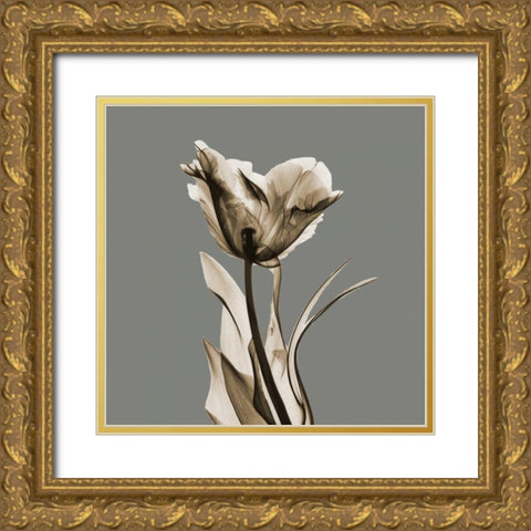 Gray Luster Tulip Gold Ornate Wood Framed Art Print with Double Matting by Koetsier, Albert