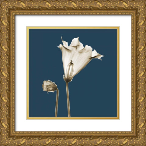 Blue Luster Gloxinia Gold Ornate Wood Framed Art Print with Double Matting by Koetsier, Albert