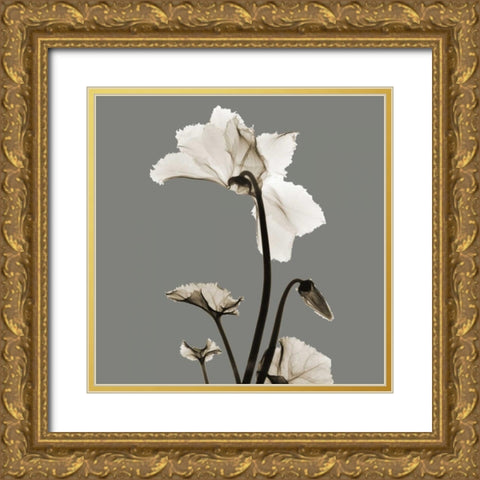 Gray Luster Cyclamen Gold Ornate Wood Framed Art Print with Double Matting by Koetsier, Albert