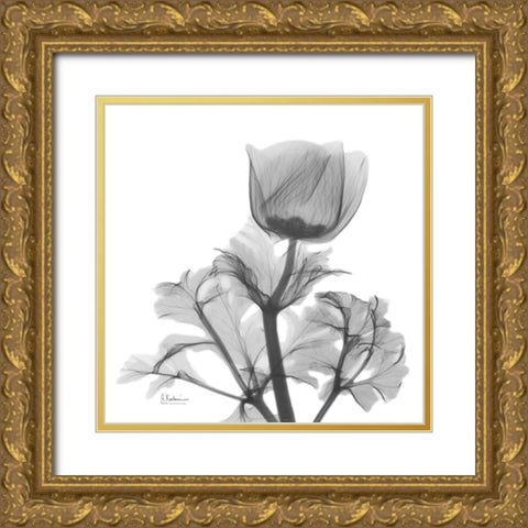 Lonely Anemone Gold Ornate Wood Framed Art Print with Double Matting by Koetsier, Albert