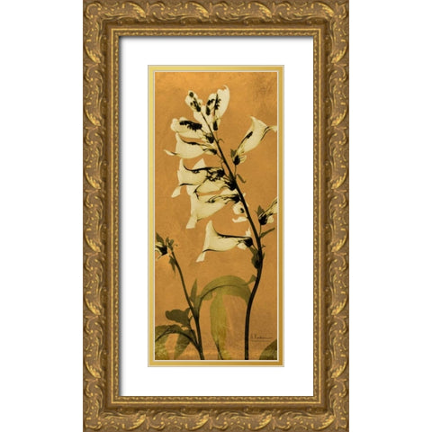 Golden Foxglove Gold Ornate Wood Framed Art Print with Double Matting by Koetsier, Albert