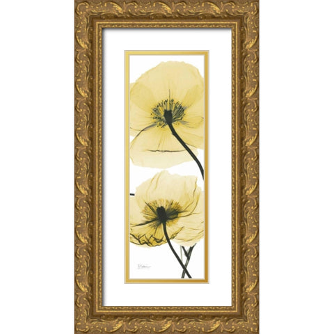 Iceland Poppy Yellow Gold Ornate Wood Framed Art Print with Double Matting by Koetsier, Albert