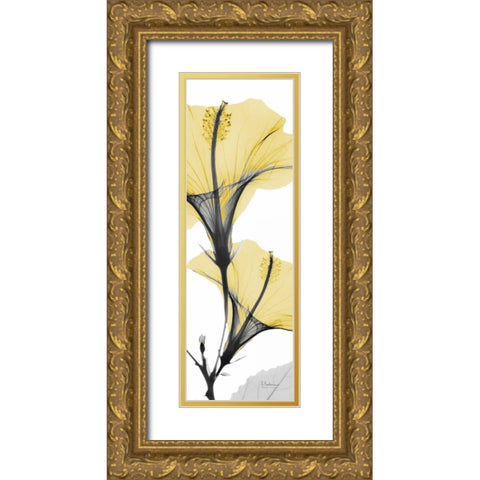 Hibiscus Yellow Gold Ornate Wood Framed Art Print with Double Matting by Koetsier, Albert