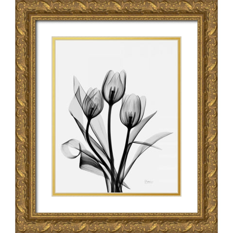 Three Gray Tulips H14 Gold Ornate Wood Framed Art Print with Double Matting by Koetsier, Albert