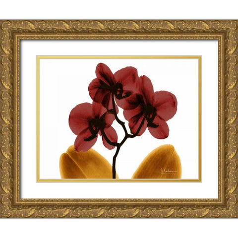 Orchid Fall Gold Ornate Wood Framed Art Print with Double Matting by Koetsier, Albert