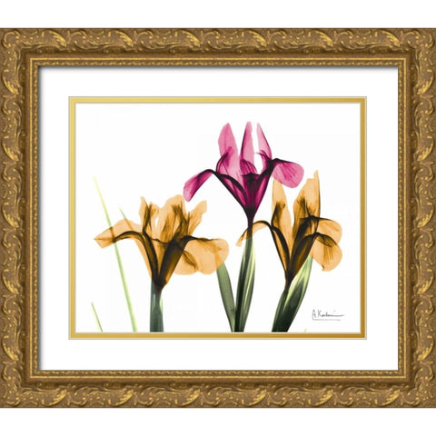 Iris Gold Ornate Wood Framed Art Print with Double Matting by Koetsier, Albert