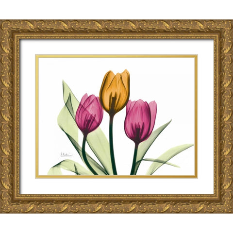 Tulip Gold Ornate Wood Framed Art Print with Double Matting by Koetsier, Albert