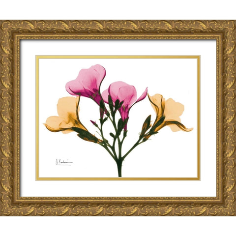 Oleander A56 Gold Ornate Wood Framed Art Print with Double Matting by Koetsier, Albert