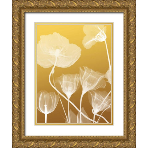 Transparent Flora 1 Gold Ornate Wood Framed Art Print with Double Matting by Koetsier, Albert