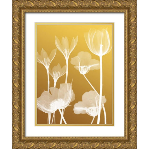 Transparent Flora 2 Gold Ornate Wood Framed Art Print with Double Matting by Koetsier, Albert
