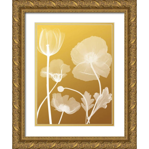 Transparent Flora 3 Gold Ornate Wood Framed Art Print with Double Matting by Koetsier, Albert