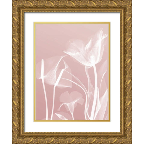 Pink Flora 5 Gold Ornate Wood Framed Art Print with Double Matting by Koetsier, Albert