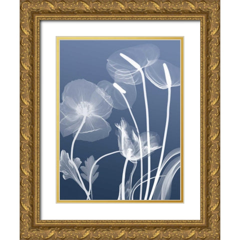 Transparent Flora 6 Gold Ornate Wood Framed Art Print with Double Matting by Koetsier, Albert