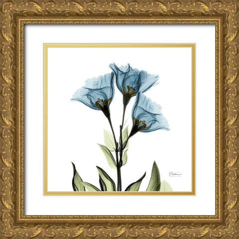 Gentian Azure L301 Gold Ornate Wood Framed Art Print with Double Matting by Koetsier, Albert