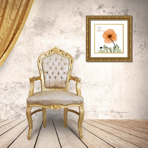 Keep Shining Iceland Poppy Gold Ornate Wood Framed Art Print with Double Matting by Koetsier, Albert