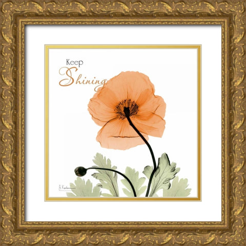 Keep Shining Iceland Poppy Gold Ornate Wood Framed Art Print with Double Matting by Koetsier, Albert