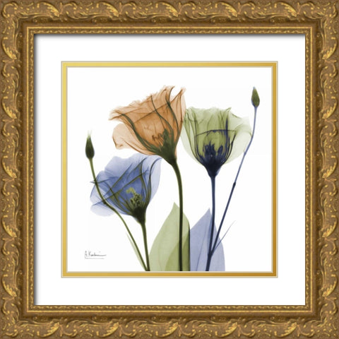 Gentian Buddies Gold Ornate Wood Framed Art Print with Double Matting by Koetsier, Albert