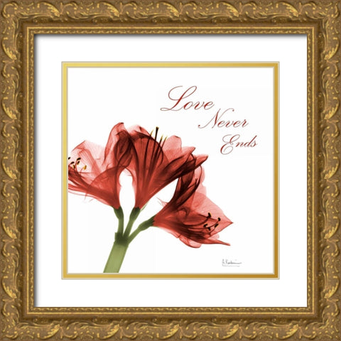 Amaryllis Quote Gold Ornate Wood Framed Art Print with Double Matting by Koetsier, Albert