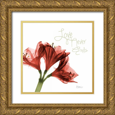 Amaryllis Love Gold Ornate Wood Framed Art Print with Double Matting by Koetsier, Albert