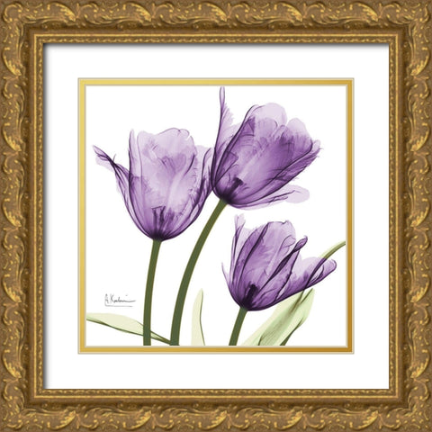 Purple Trio Tulips Gold Ornate Wood Framed Art Print with Double Matting by Koetsier, Albert