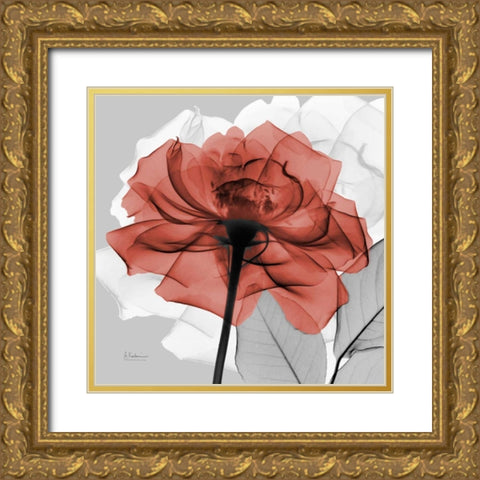 Rose on Gray 1 Gold Ornate Wood Framed Art Print with Double Matting by Koetsier, Albert