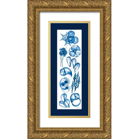 Sealife Blue Mate Gold Ornate Wood Framed Art Print with Double Matting by Koetsier, Albert