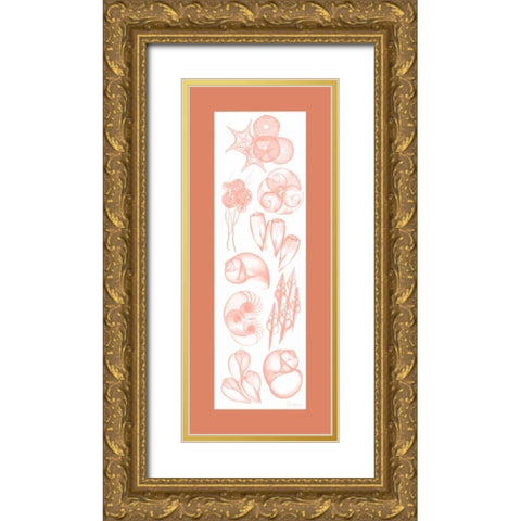 Sealife Coral Mate Gold Ornate Wood Framed Art Print with Double Matting by Koetsier, Albert