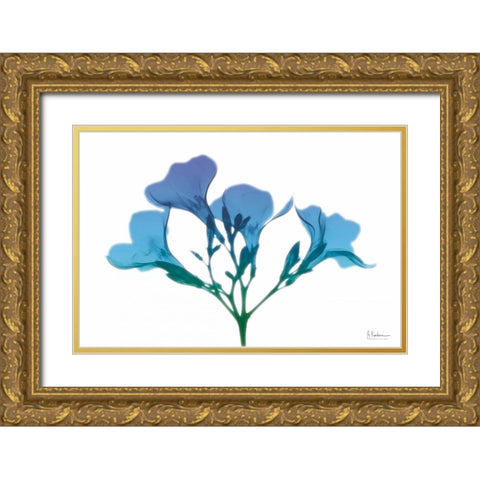 Oleander Turq Indigo Gold Ornate Wood Framed Art Print with Double Matting by Koetsier, Albert