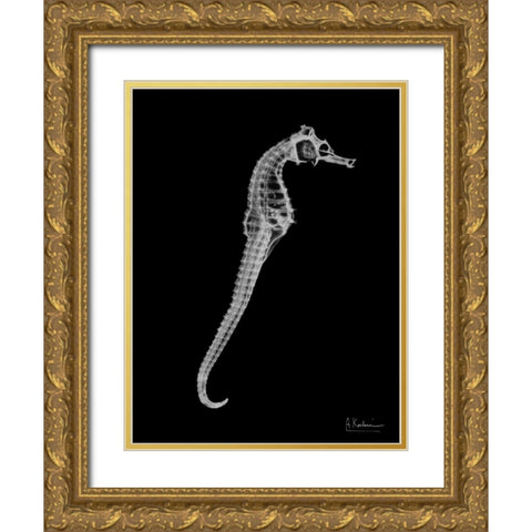 Seahorse In The Black Gold Ornate Wood Framed Art Print with Double Matting by Koetsier, Albert