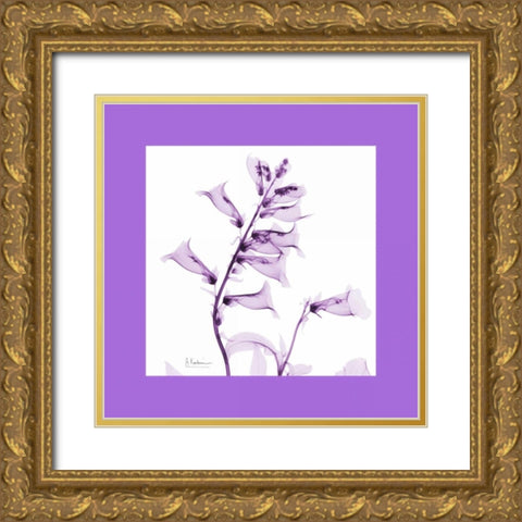 Foxglove  Bordered Gold Ornate Wood Framed Art Print with Double Matting by Koetsier, Albert