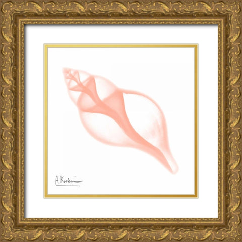 Peach Tulip Shell Gold Ornate Wood Framed Art Print with Double Matting by Koetsier, Albert