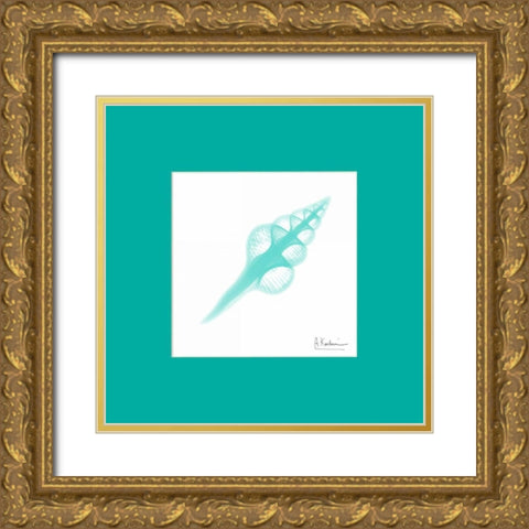 Fusinus Colus Seafoam Matte Gold Ornate Wood Framed Art Print with Double Matting by Koetsier, Albert