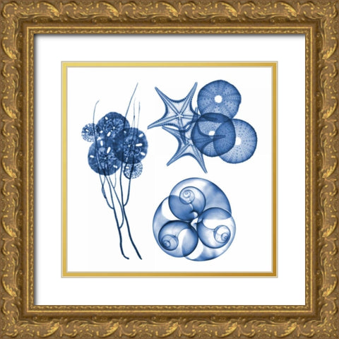 Blue Assortment Four Gold Ornate Wood Framed Art Print with Double Matting by Koetsier, Albert