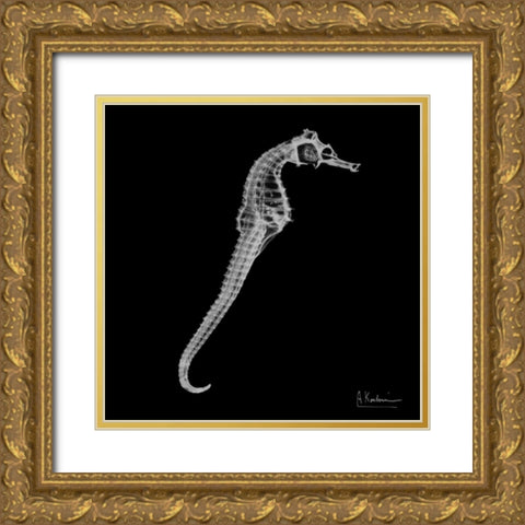Seahorse In The Black Gold Ornate Wood Framed Art Print with Double Matting by Koetsier, Albert